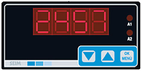 FD20S Electronic Flow Meter Display